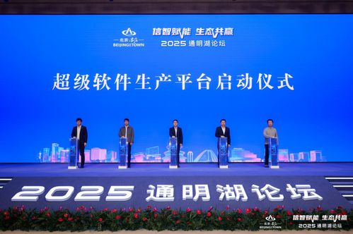 信智賦能 生態(tài)共贏 2025通明湖論壇在北京亦莊盛大開幕，共繪軟件產(chǎn)業(yè)發(fā)展新藍(lán)圖